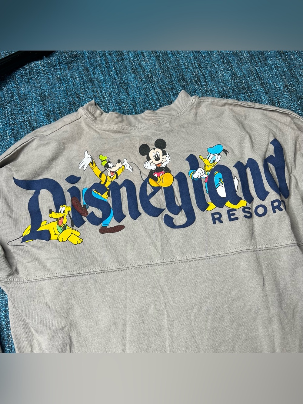 Disneyland Resort Youth Spirit Jersey in Gray Mickey Donald Pluto Goofy Large - Picture 2 of 7